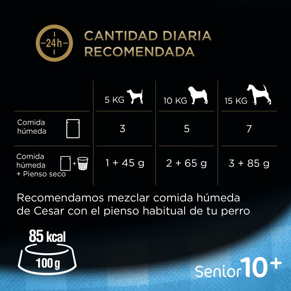 Cesar 10+ Senior - Selezione in Gelatina 13 x (4 x 100g)