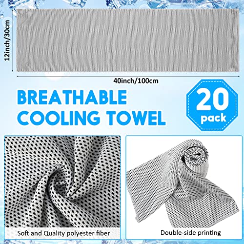 20 Pack Cooling Towel 40 X 12'' Cooling Towels For Neck And Face Hot Weather Soft Breathable Chilly Towel With Bag Microfiber Ice Towel For Yoga Gym Men Women Workout Travel Camping (Light Gray) #TOP1