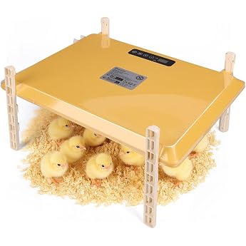 Heat Plate Chick with Timer 20 C - 88 C Temperature Adjustable 40 x 30 cm Heating Chicken Coop 200 W Winter Heating Plate Heat Lamp for Chickens Rabbits Small Animals Poultry Rearing