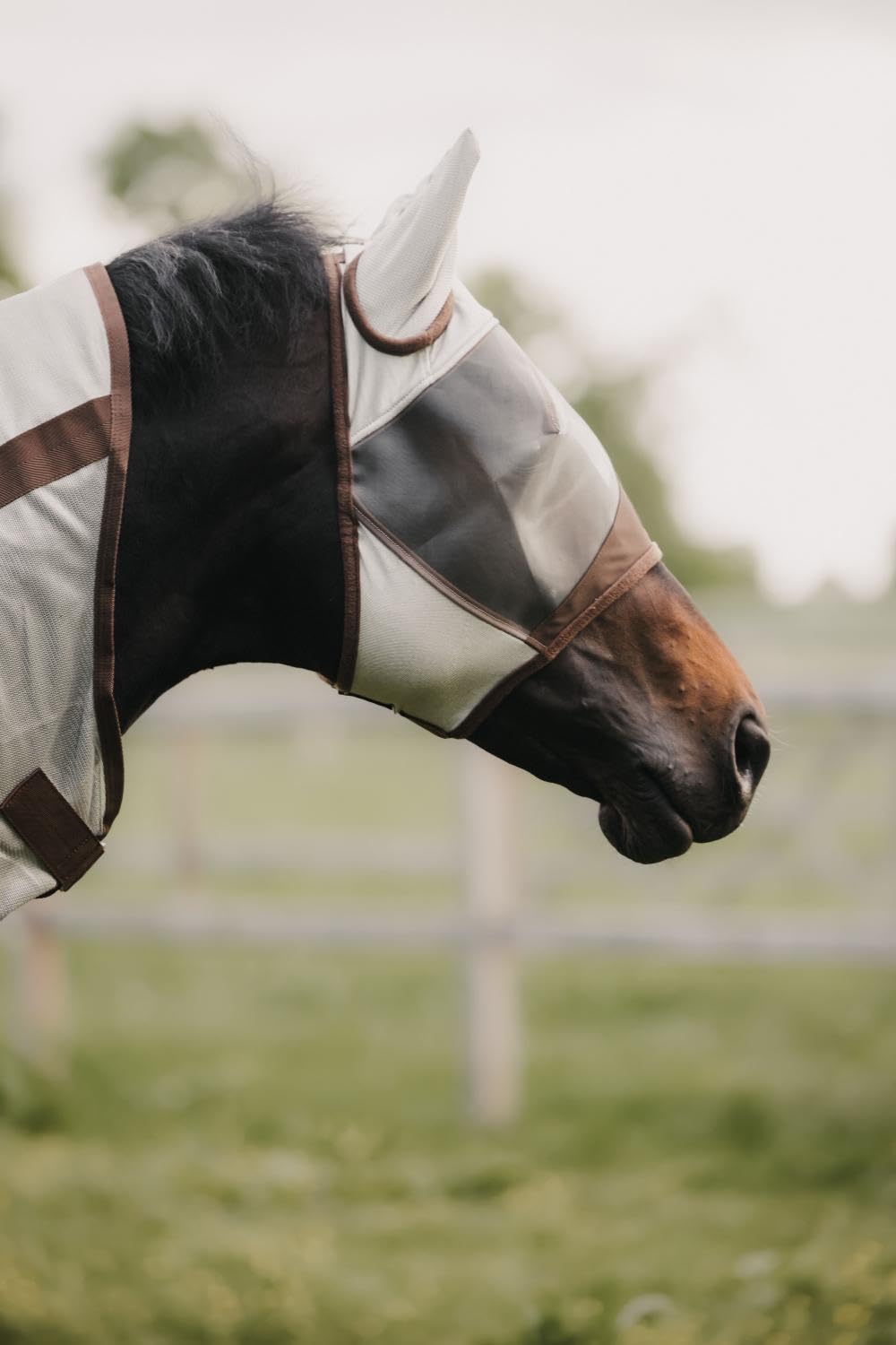 Kentucky Horsewear - Masque Anti-Mouches Classie - Professionnel - Noir - Moyen