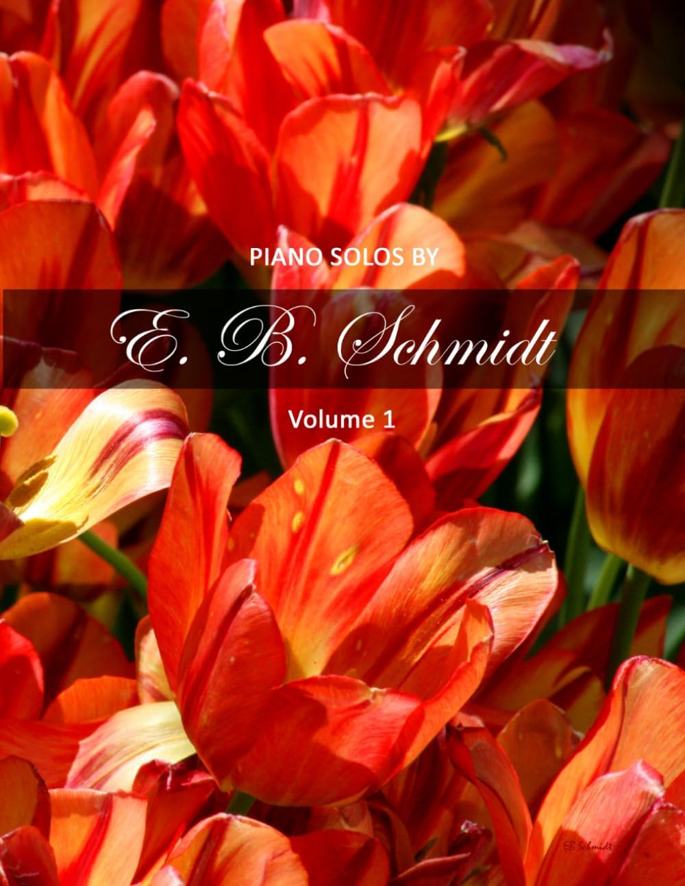 Piano Solos by E. B. Schmidt Volume 1: Beautiful piano solos for the intermediate to advanced player.