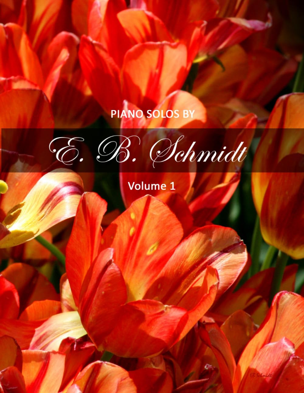 Piano Solos by E. B. Schmidt Volume 1: Beautiful piano solos for the intermediate to advanced player.