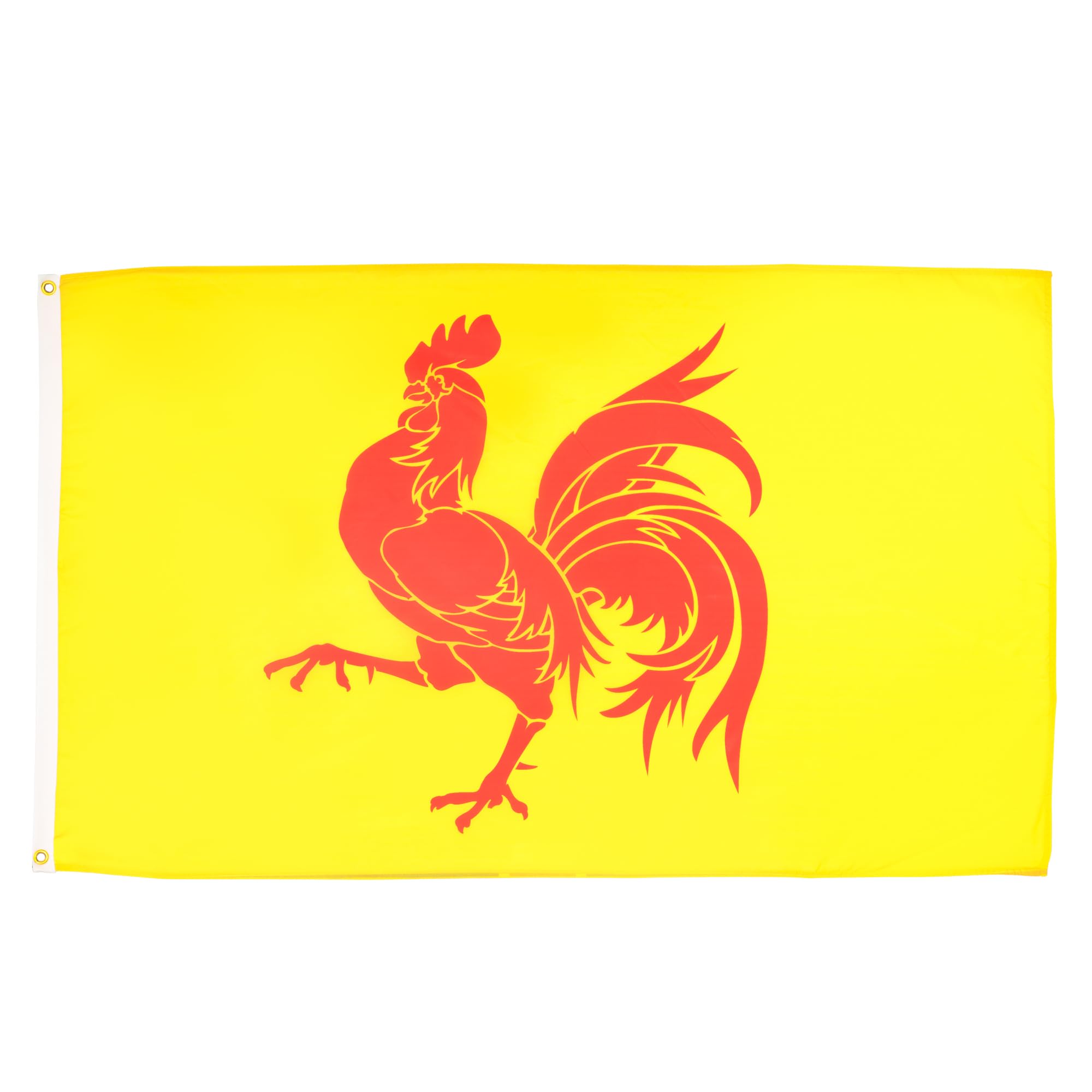 AZ FLAG, Wallonia Flag, 2x3 Ft, 100D Polyester Belgium, Walloon Banner with Two Metal Grommets, Fade Resistant, Vivid Colors