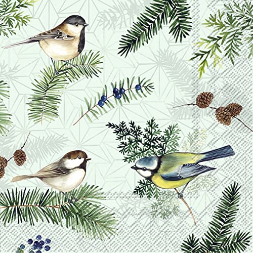 IHR Papierservietten DARIO Rot – 20 Cocktail-Servietten 25x25 Cm, Nachhaltig In Deutschland Gedruckt