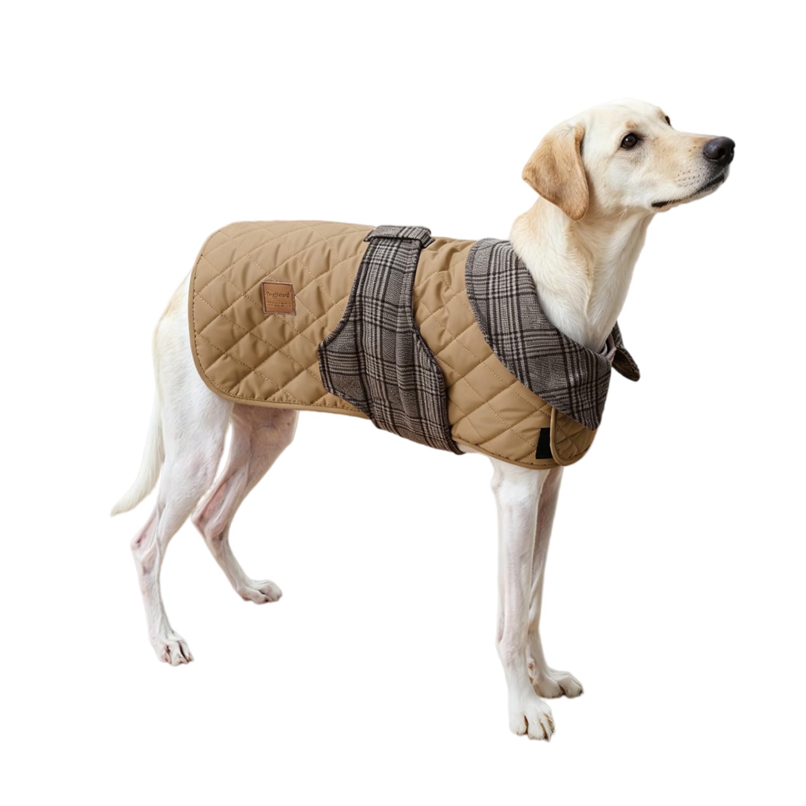 Manteau d'hiver pour chien pour des promenades au chaud en taille M