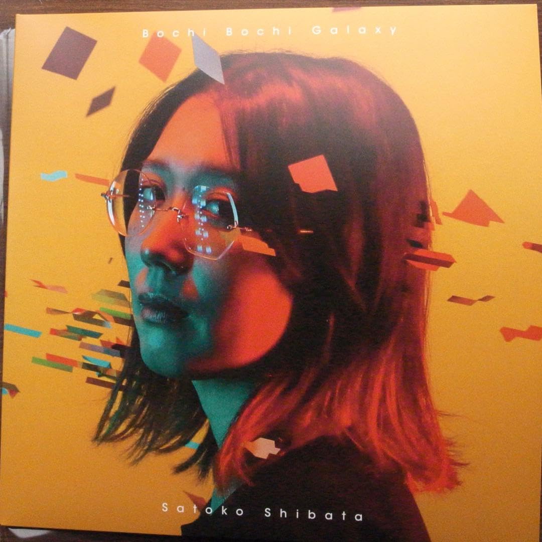 柴田聡子「ぼちぼち銀河」〈LPレコード〉 Amazon.co.jp: 柴田聡子/ぼちぼち銀河 LPレコード : おもちゃ