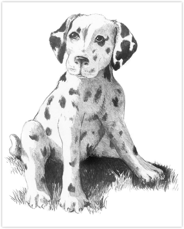 Royal & Langnickel Art Adventure Sketching Made Easy Crayon