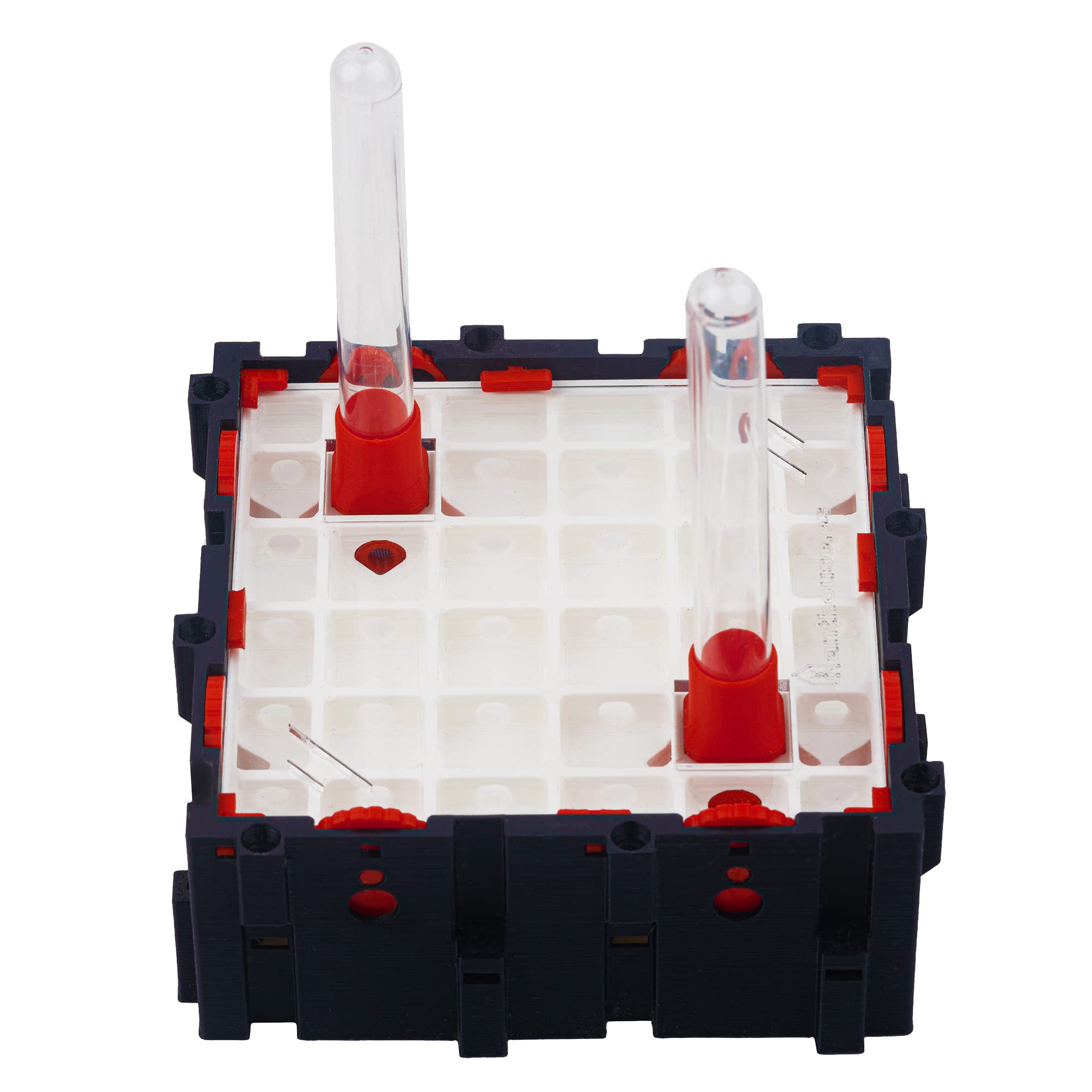 Anthouse.es - Hormigueros Modulares 3D - Modelo QBIK Quadra - Terrario Ampliable para Colonias de Hormigas - Hormiguero con Galerías Pequeñas - Hormiguero 3D con Sala de Forrajeo - 12,78x12,78x5 cm