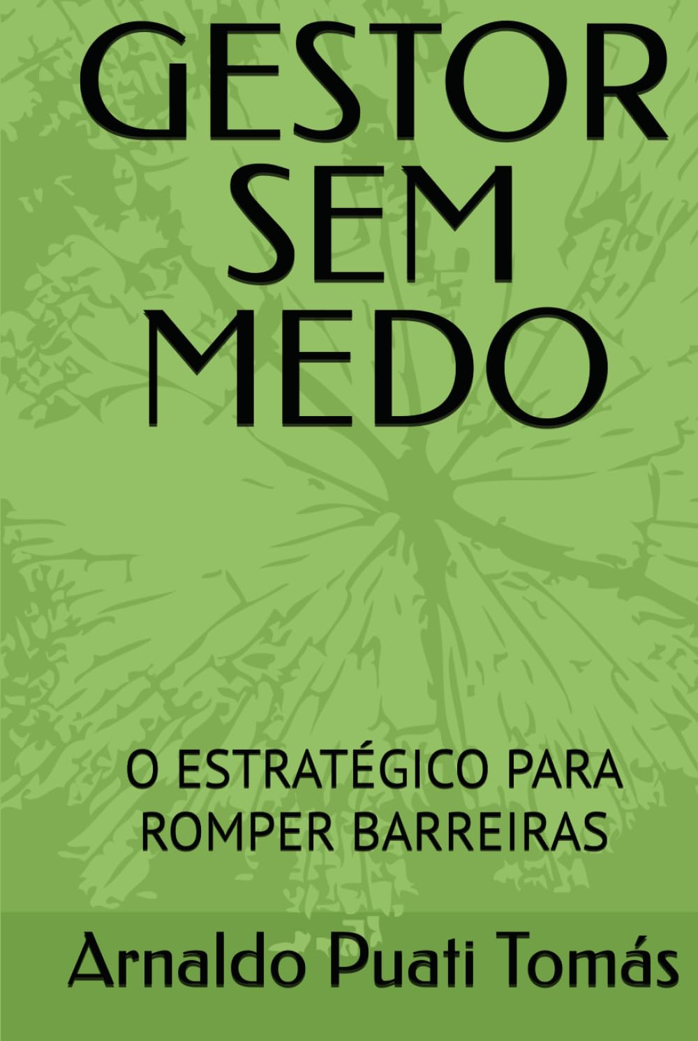 GESTOR SEM MEDO: O ESTRATÉGICO PARA ROMPER BARREIRAS (Edições Académicas Arnaldo Puati Tomás)
