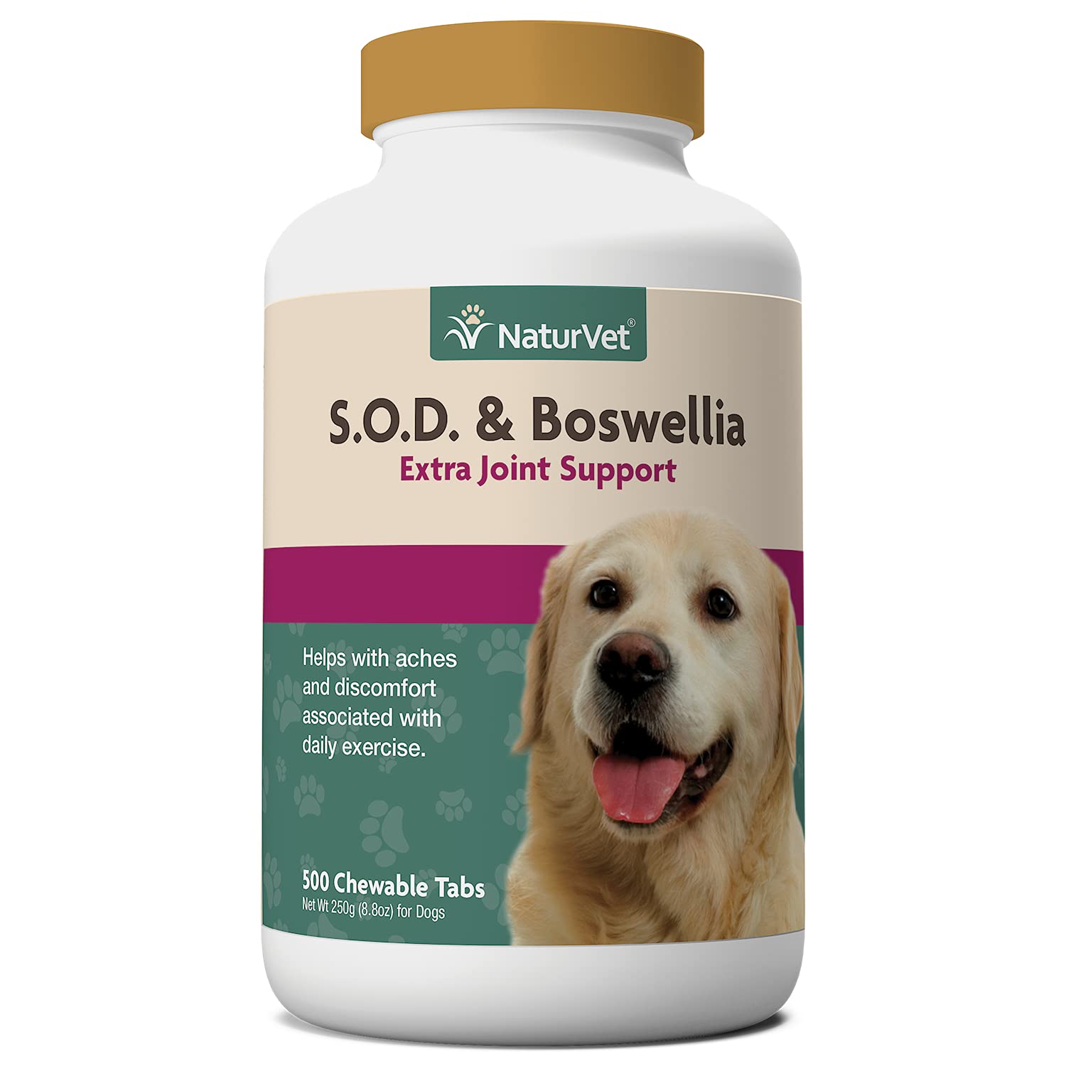 Image showcasing How Much Boswellia To Give Dog