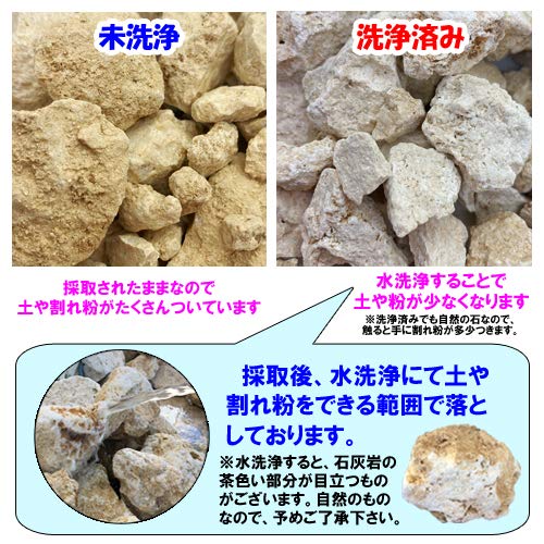 Amazon.co.jp: H 琉球石灰岩 洗浄済 小サイズ 19～21kg(19～21個