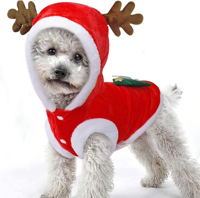 BulzEU Cute Elk Dog Christmas Clothes Pet Costume Hoodie Velvet Coat for Cats & Dogs Puppy Xmas Fancy Dress Warm Party Suit for Teddy, Yorkshire Terrier, Chihuahua, Pomeranian Festive Gifts (XL, Red)