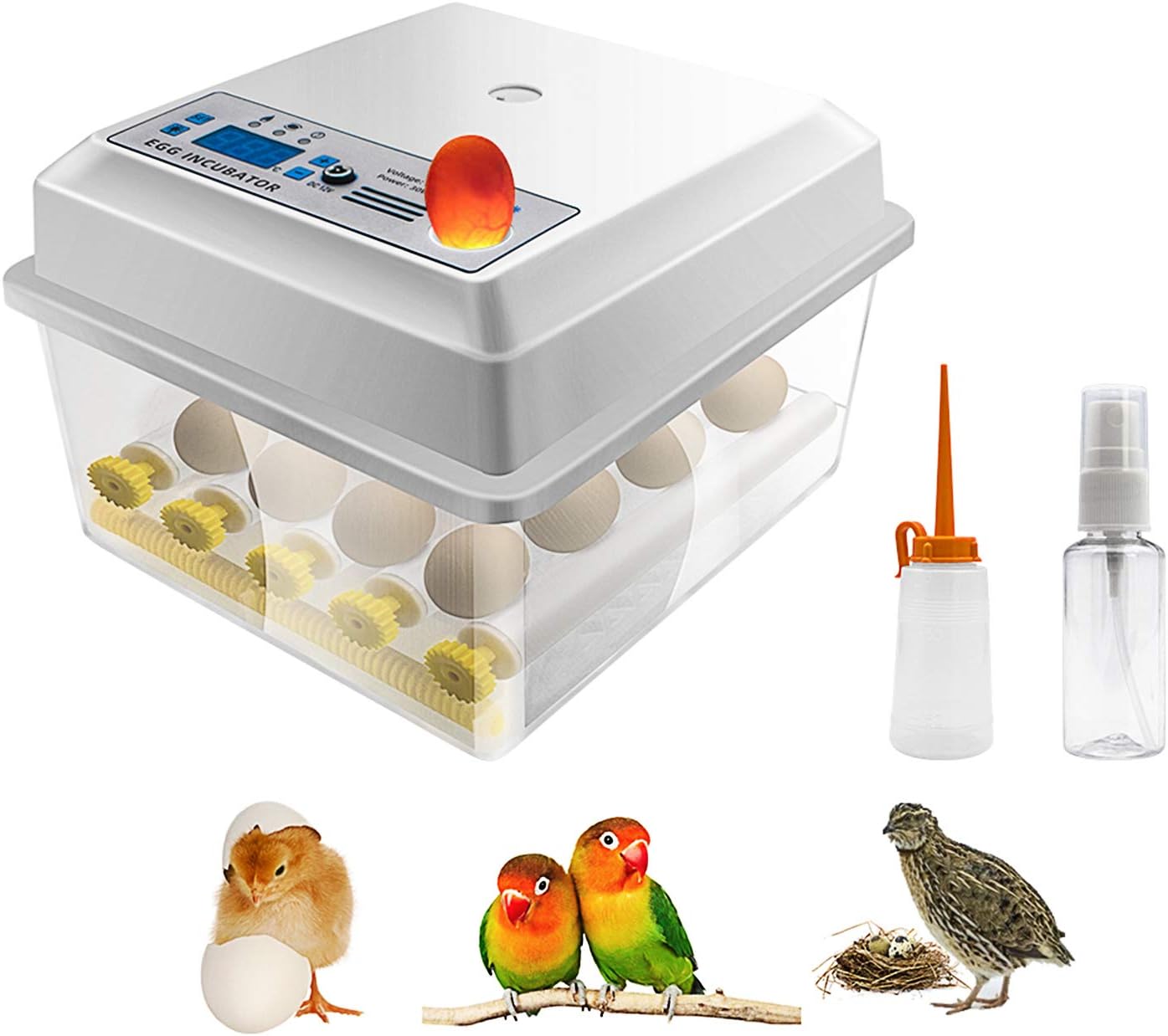 Safego Egg Incubator for Hatching Eggs, Digital Mini