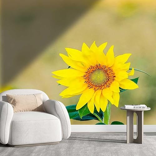 Papel para Pared Decorativo Girasol Pegajoso Papel Contacto Decoración de Pared Fondo de TV DIY (Ancho) 118" X (H) 110"