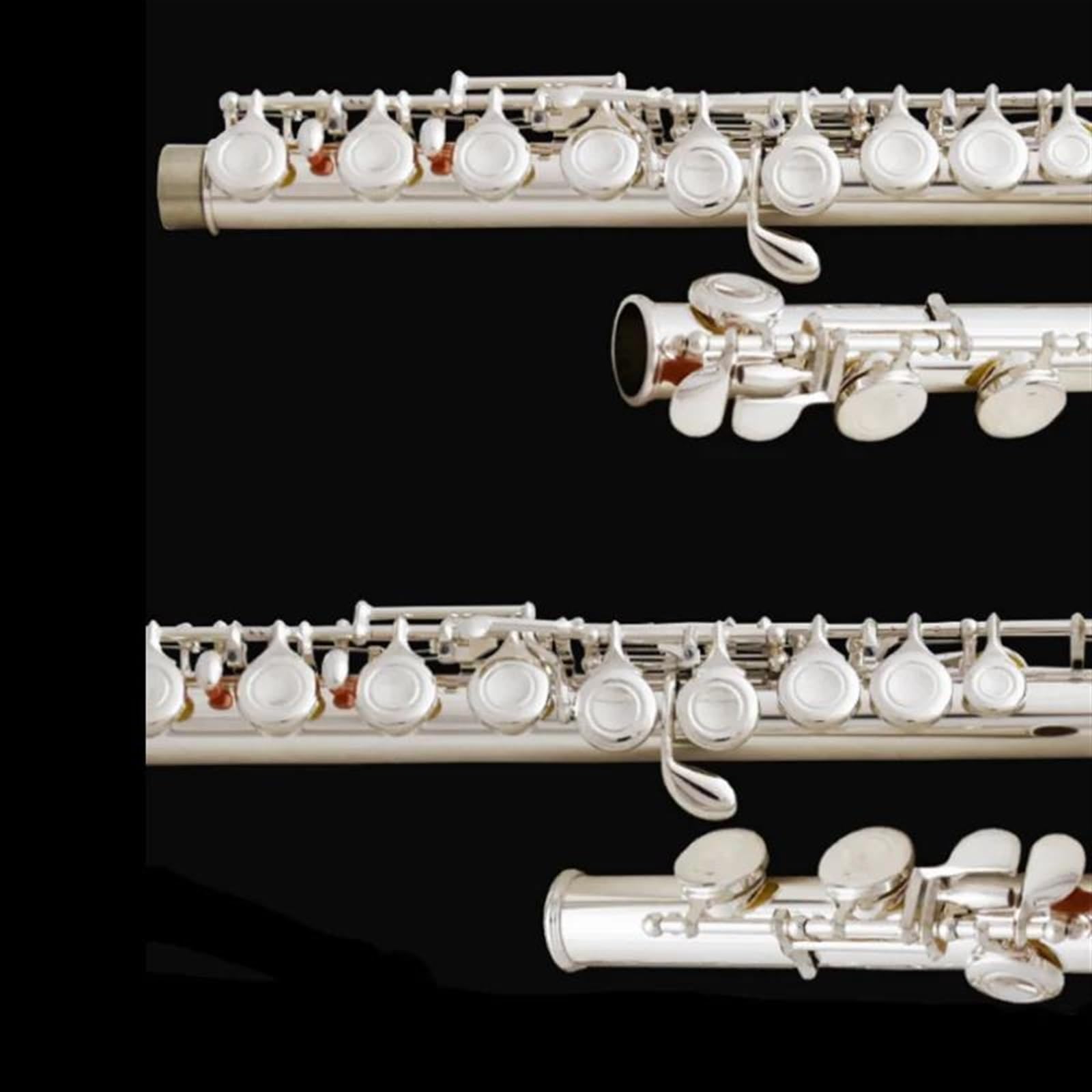 Flauto Traverso Flauto Traverso Professionale Con Chiave C 16 Fori Chiusi E Aperti Strumento Musicale Da Concerto Con Scatola Di Legno