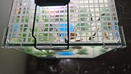 Review Image by MiniAmi MiniAmi