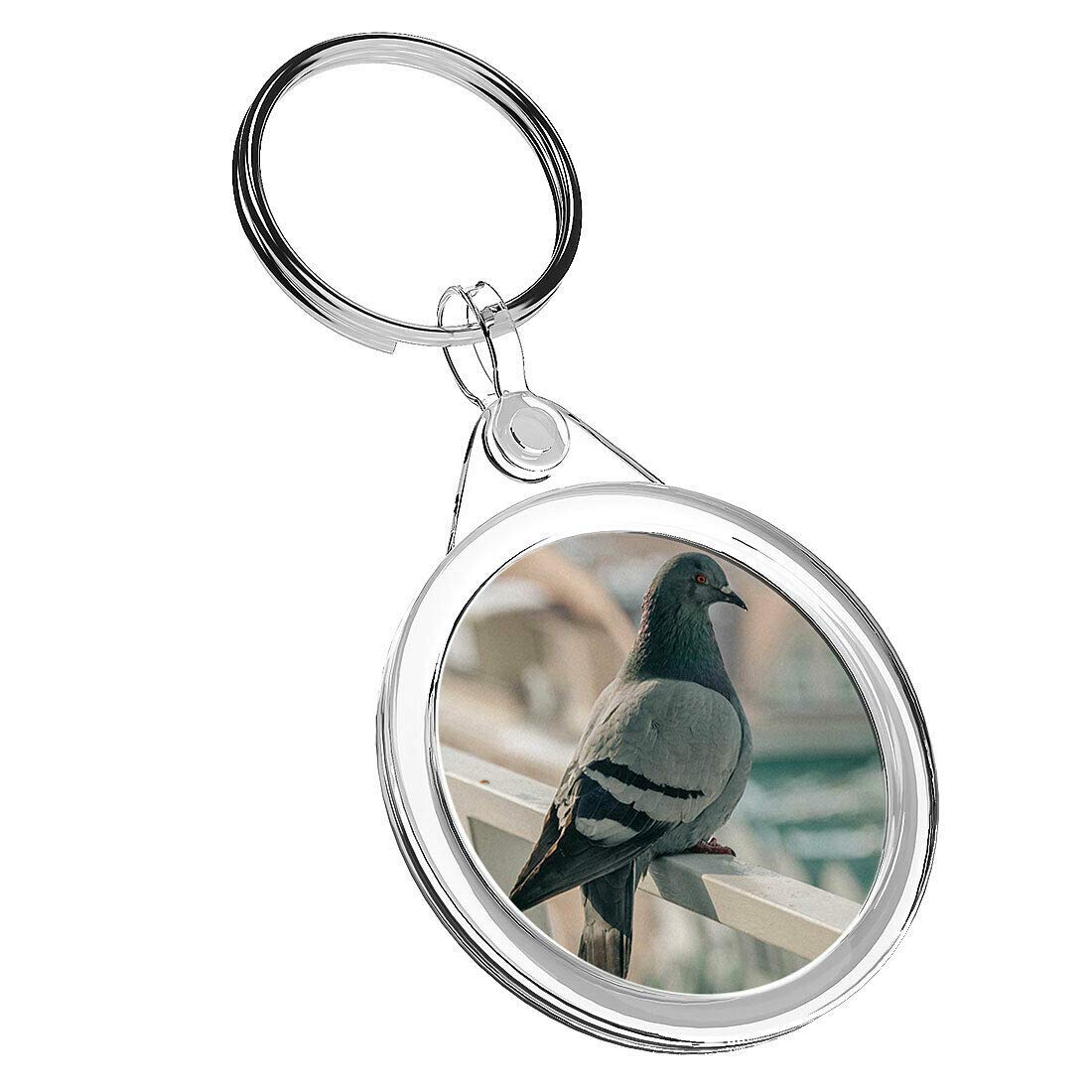 Destination Vinyl Keyrings Unisex Kids Multi 1 X Perched Pigeon Bird Lover - Keyring Ir02 Mum Dad Kids Birthday #8300