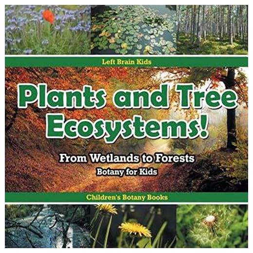 Plants and Tree Ecosystems! From Wetlands to Forests - Botany for Kids - Children's Botany Books