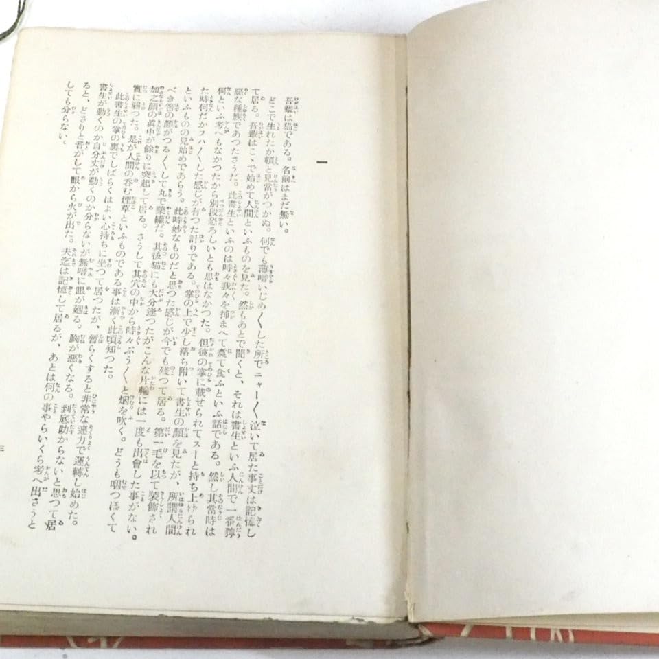 漱石全集 漱石全集刊行会 昭和3年発行 全20巻 (5-6巻欠 ) 18冊 漱石全集 漱石全集刊行会 昭和3年発行 全20巻 (5-6巻欠 ) 18冊