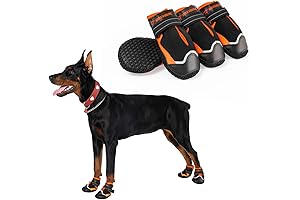 Waterproof Boots for Large Dogs: Protection in All Weather Conditions