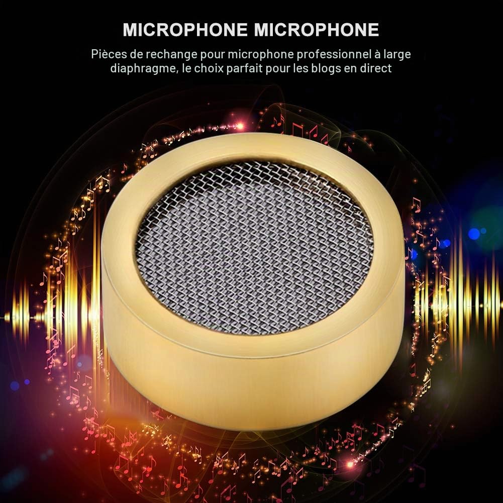 Microphone à grande membrane cartouche noyau Capsule remplacements pièces de micro accessoires d'instruments de musique