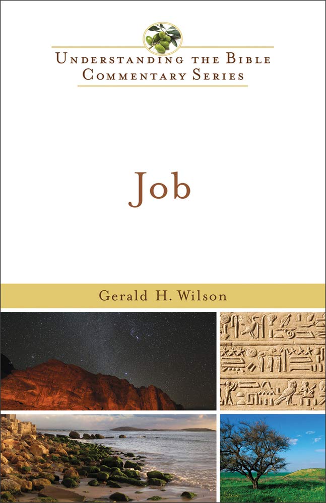 Buy New International Biblical Commentary: Job (Old Testament Series, 10) — BookShops.in