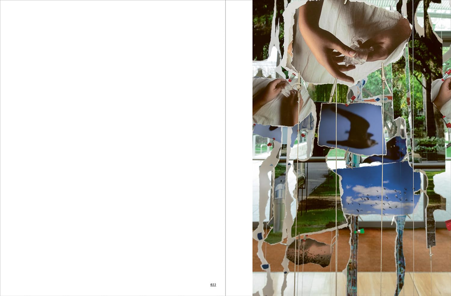 Sarah Sze