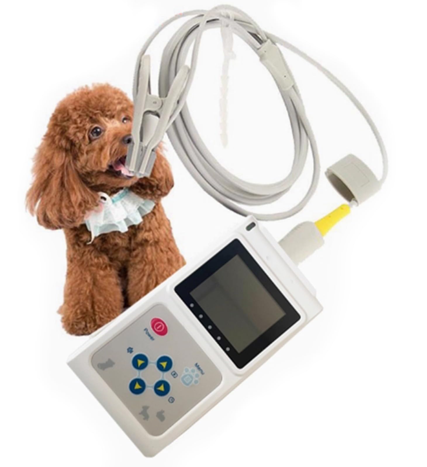 BLUEZY Tragbares Veterinär-Pulsfrequenzmessgerät, Veterinär-Pulsoximeter Mit Sonde Und USB-Kabel, Speicher- Und Wiedergabefunktion Für Katzen, Hunde, Haustiere Krankenhaus