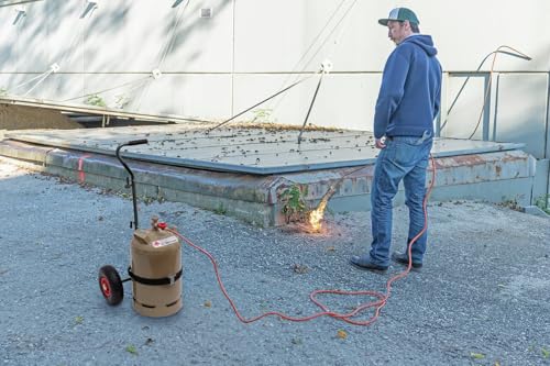 ROTHENBERGER Industrial Gasflaschen Transportwagen | Luftreifen | Sackkarre | Transportkarre | Transportwagen | Transportroller | 30 kg Traglast | 1500003367