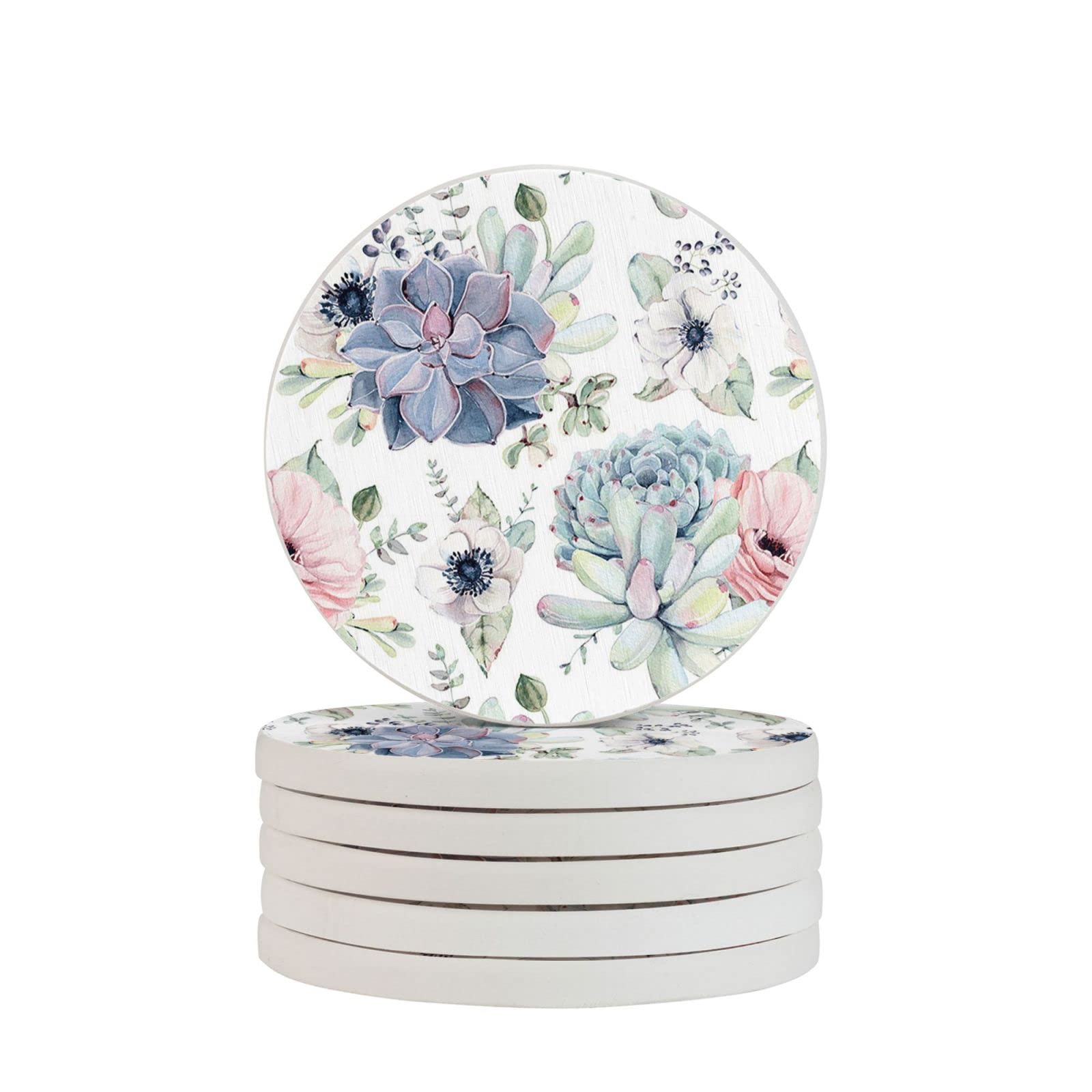 Succulent Plants Two Pieces Drink Coaster for Tabletop Protection Place Mats for Home Decor