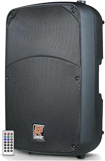 Caixa ativa staner bi-amplificada 15" 2-vias 300wrms sr315a