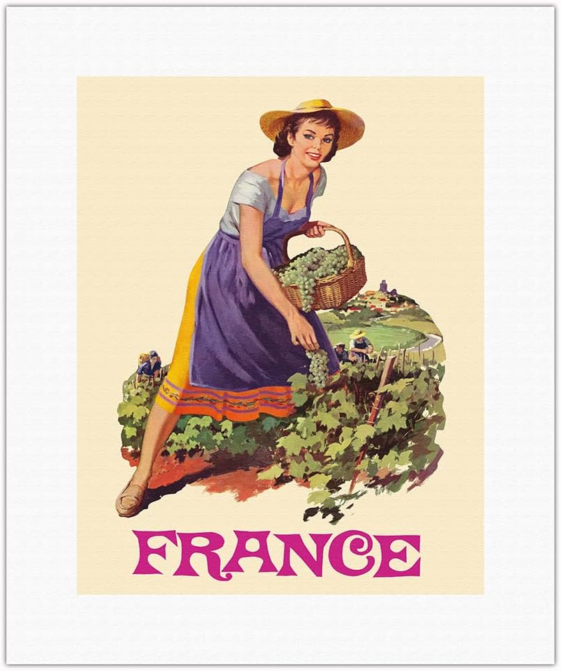 France Picking Grapes in French Wine Vineyard Vintage