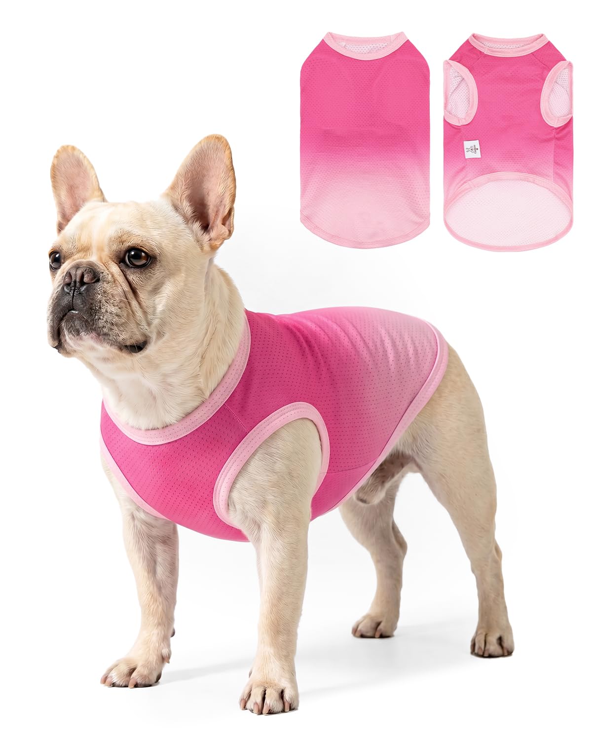CuteBone Ombre Dog Tank Top for Small Dogs, Cats - Tropical Summer Pet Vest - Breathable Ice Silk Cooling Shirt - Sun Protection, Photo, Casual Play, Walks