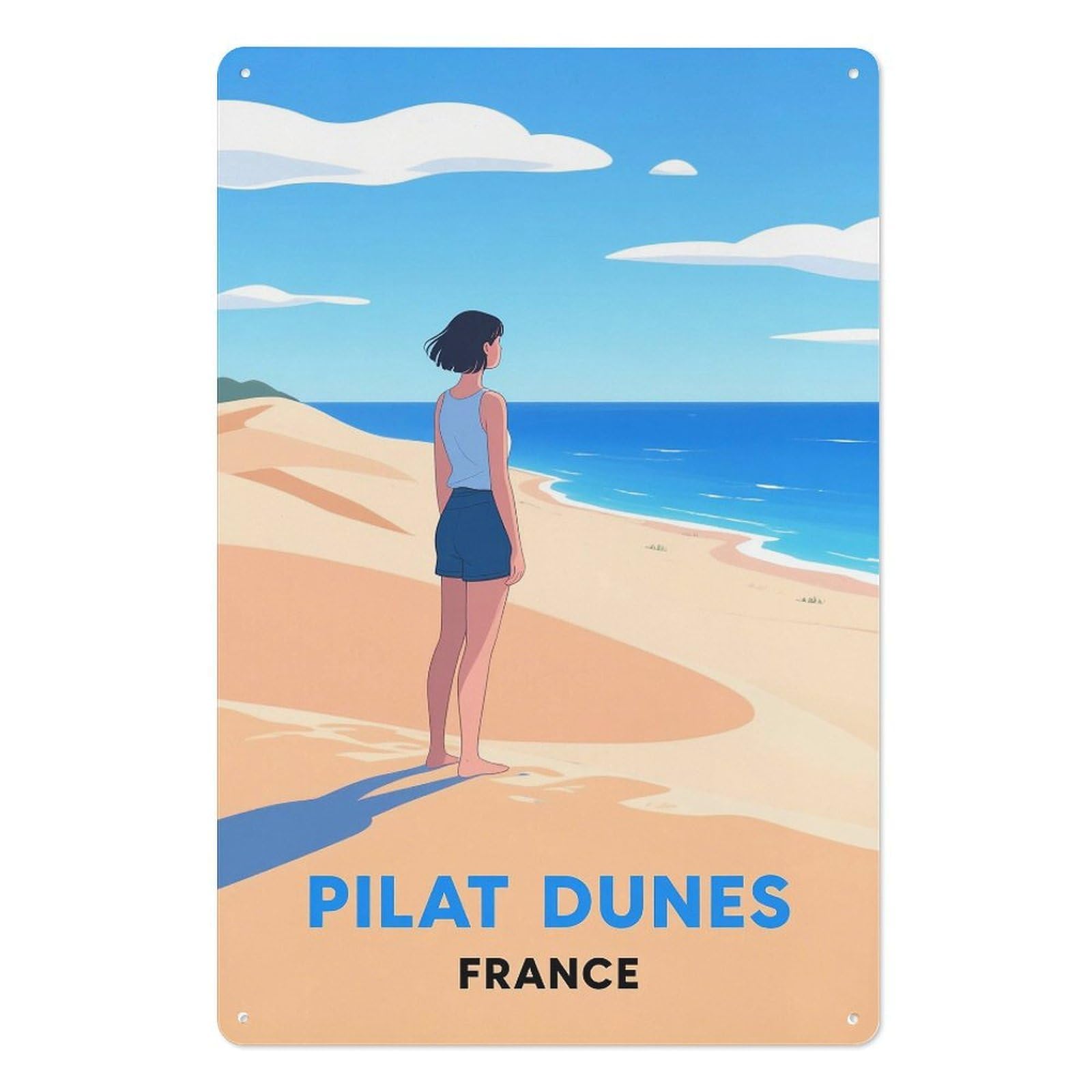 Pilat France Retro Design Tin Paintings Vintage Tin Sign 08x12inch(20x30cm) Wall Art for Home Office Bedroom Living Room Cafes Wall Decor