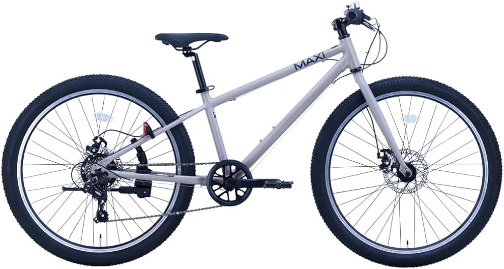 Amazon | サカイサイクル(SAKAI CYCLE) MAXI MTB 自転車 子供用