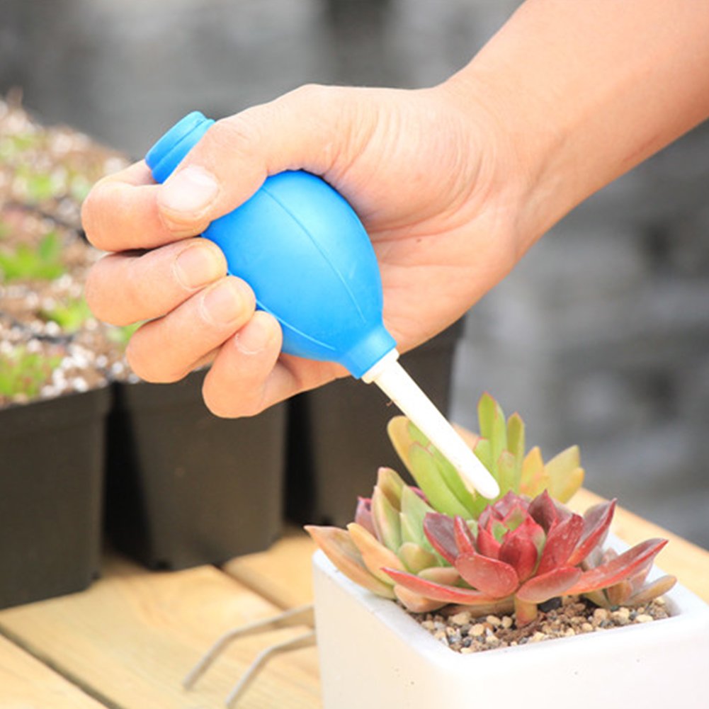 Colorful 1pcs Air Dust Blower Cleaner Camera Video Lens Sensor Cleaning VCR Watchmaker Repair Tool Succulent plants Watch