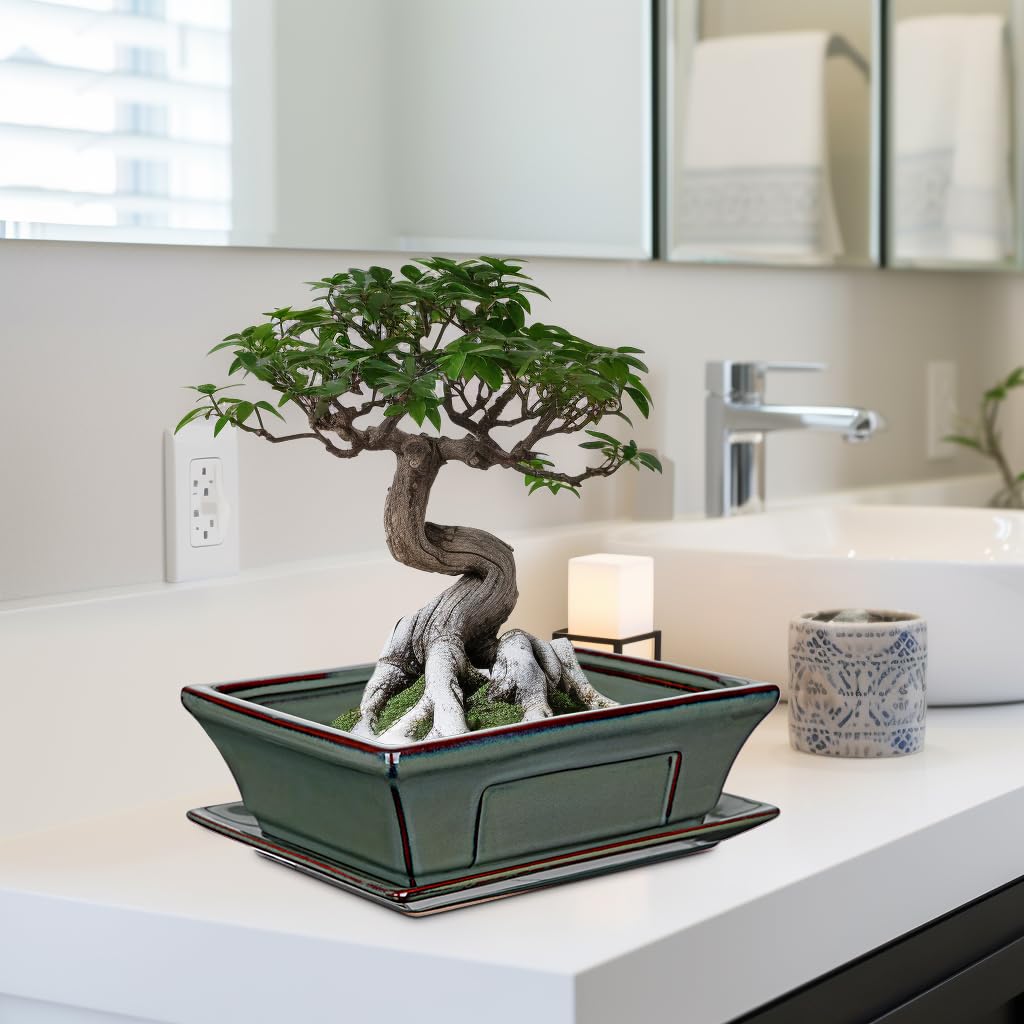 Zestaw 2 ceramicznych doniczek bonsai, z podstawką i otworami drenażowymi, do japońskich roślin pokojowych bonsai, dekoracja retro do zestawów pojemników ogrodowych na zewnątrz, średnica otworu 26 cm