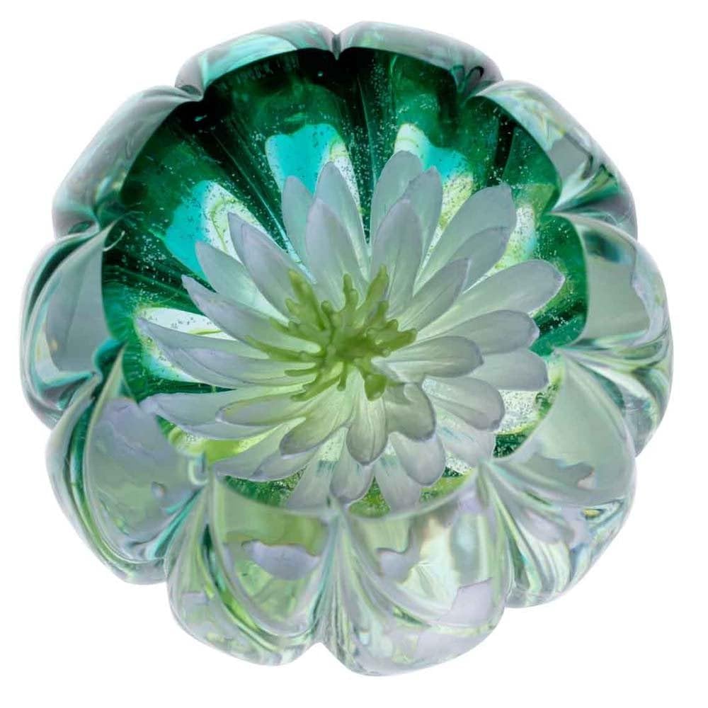 Royal Botanic Garden Edinburgh Waterlily Paperweight