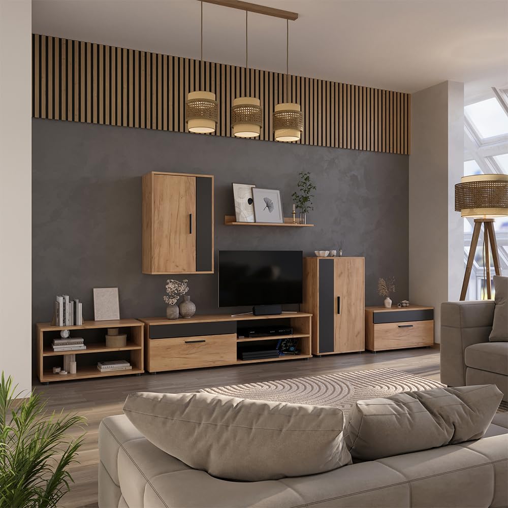 Vicco Mobili da soggiorno Berno, Rovere dorato/antracite, 2 parti, per la conservazione di dispositivi multimediali e accessori per la casa