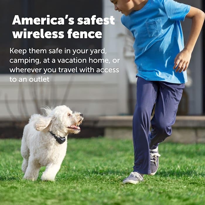 https://m.media-amazon.com/images/I/6195jqgRZdL.jpg