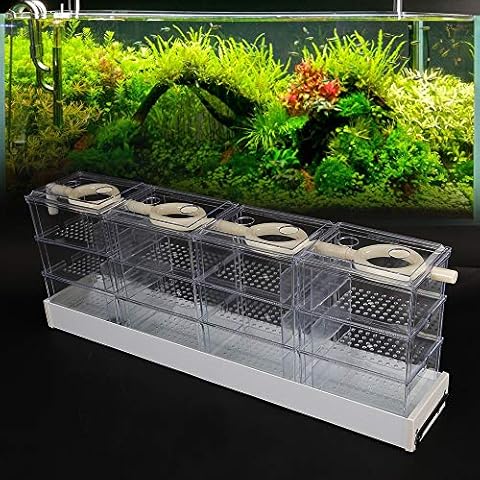 WUPYI Aquarium External Filter Fish Tank External Filter Box Aquarium Filter Fish Tank Upper Trickle Box Filters System 12 Box,Transparent Cover