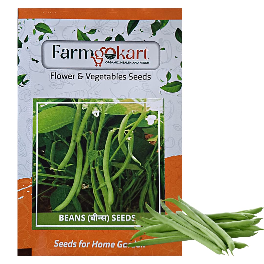 FARMGO 10 Gms FRENCH BEANS SEEDS, Vegetable Seeds for Home Gardening, Farming, Hydroponics and Poly Houses (B0BX6SHLV7) Amazon Price History, Amazon Price Tracker