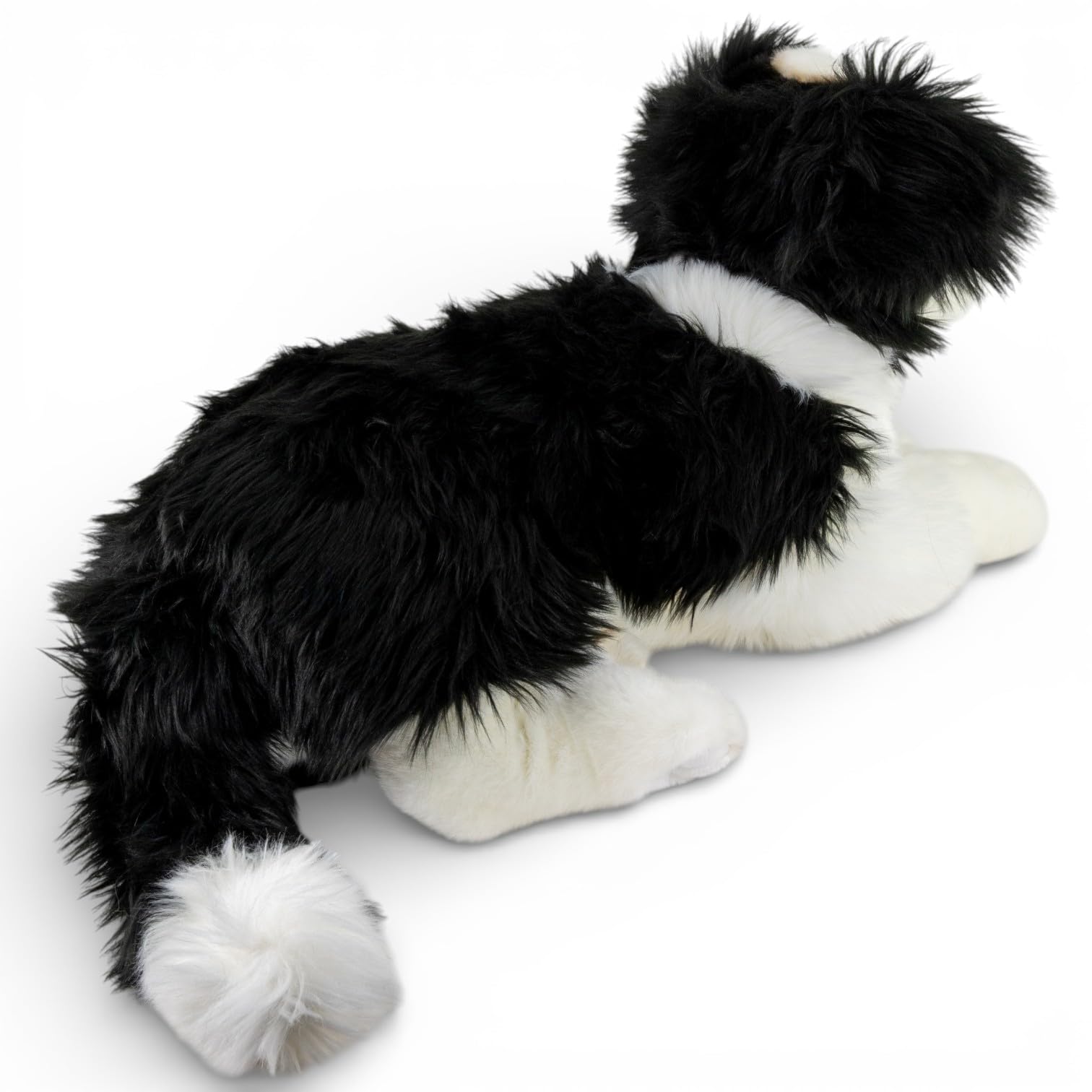 Carl Dick Border Collie leżąca ok. 45 cm pluszowa zabawka, pluszowa zabawka, przytulanka 3763