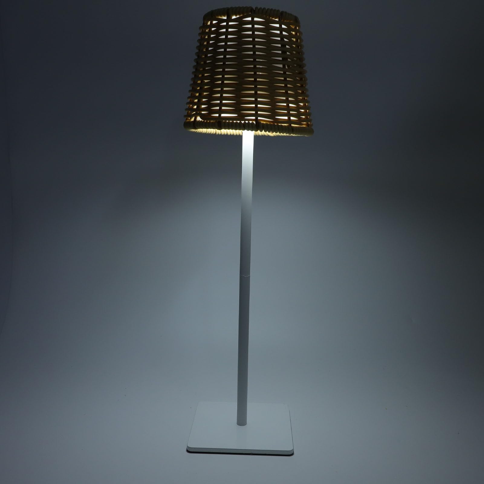 View 4