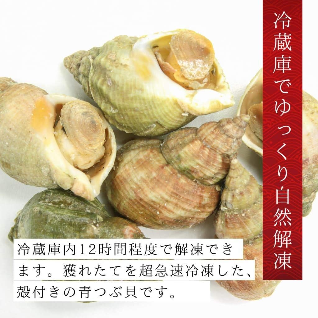 Amazon 北海道産青ツブ貝 加熱用１kg 飯坂冨士商店 貝類 通販