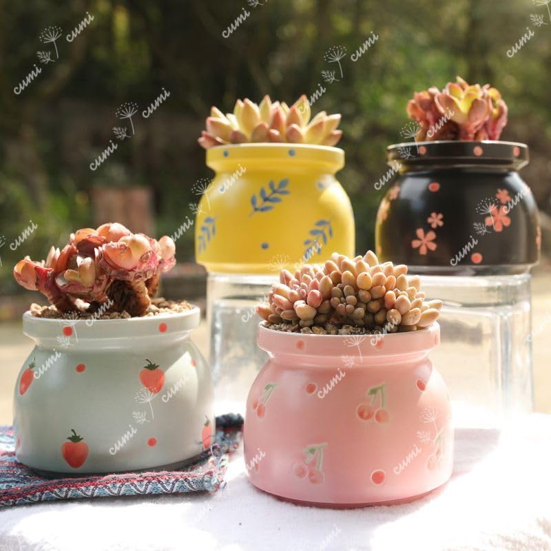 Amazon.co.jp: N0305韓国 3号 2個セット 四季 植木鉢 室内 陶器鉢 多肉 