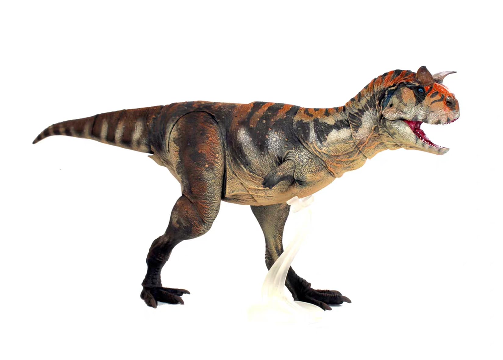 Amazon.co.jp: Beasts of the Mesozoic/Cenozoic 1/18スケール カルノ