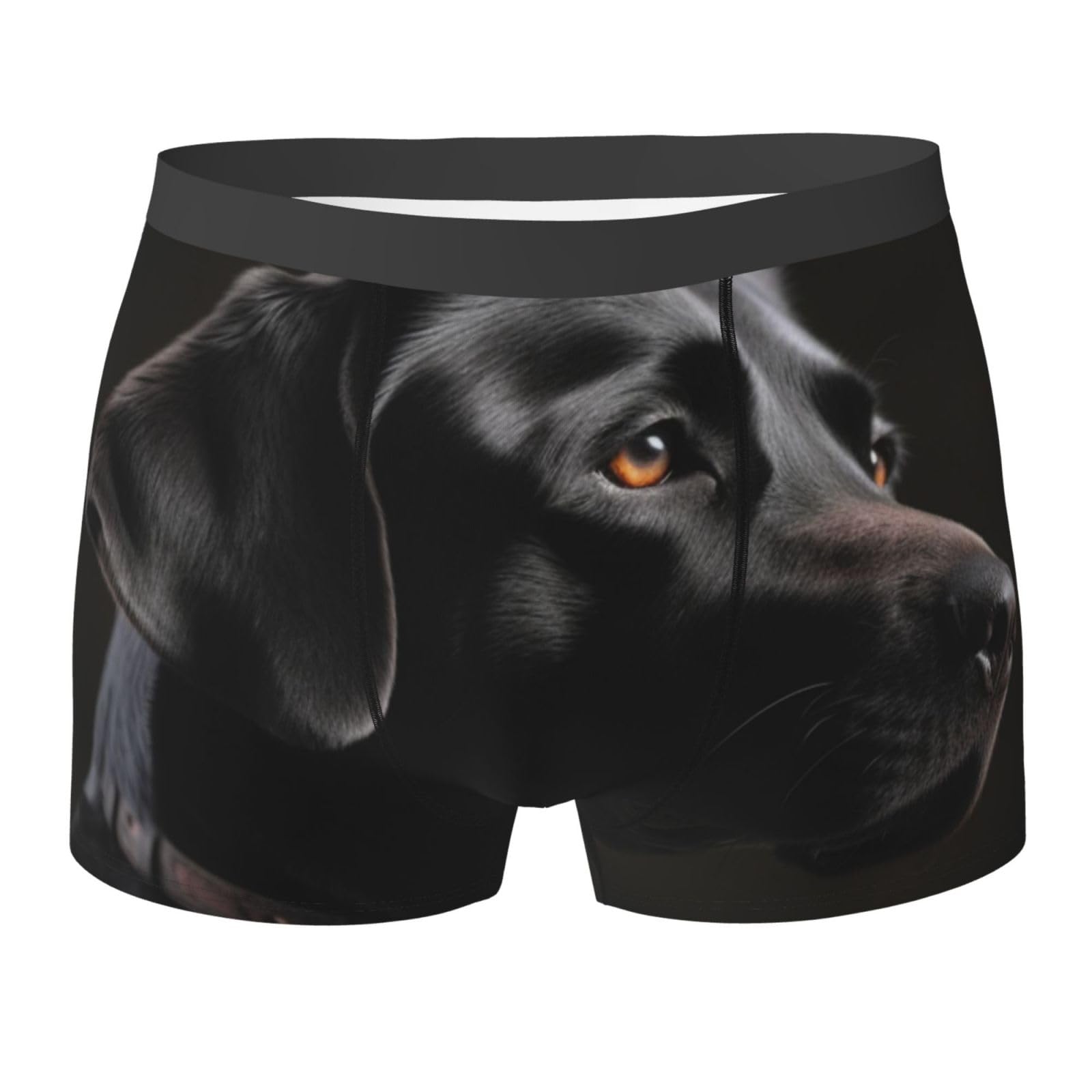 Hjrt Men's Black Underwear Soft Breathable Boxer Brief Moisture-Wicking Stretch Boxer Labrador Trunks For L