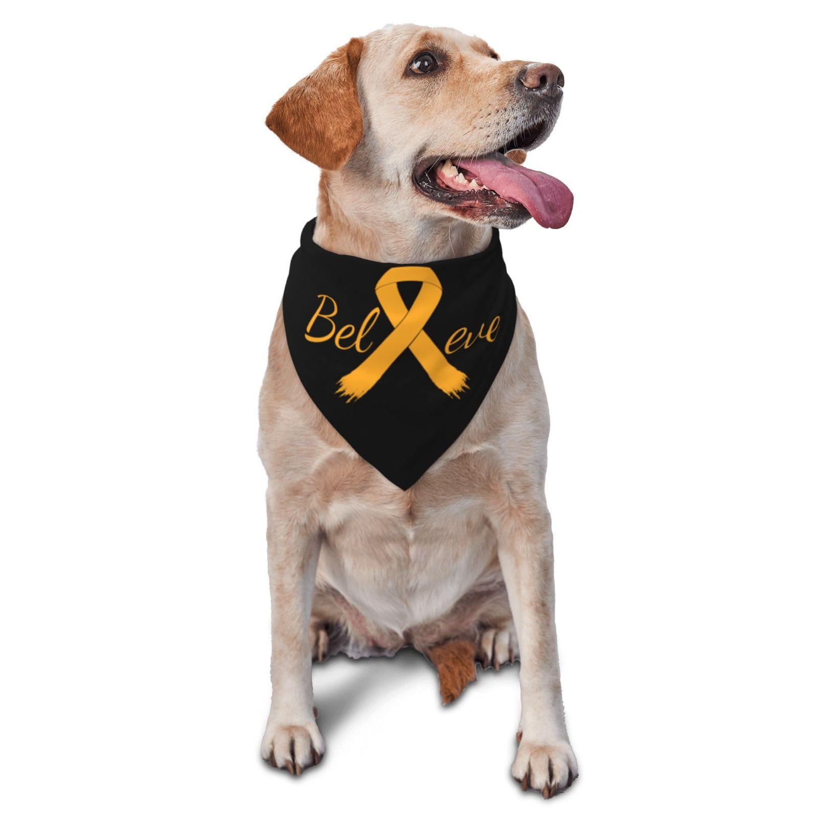 Cancer Believe Appendix Cancer Amber Ribbon Dog Scarf Pet Bandana Cat Pet Bibs