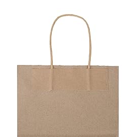 bagmad 100 Pack 8x4.75x10 Inch Plain Medium Paper Bags with Handles Bulk, Brown Kraft Craft Gift Bags, Grocery Shopping Retail Birthday Party Favors Wedding Sacks (Natural Brown, 100pcs)